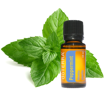 Menta doTERRA