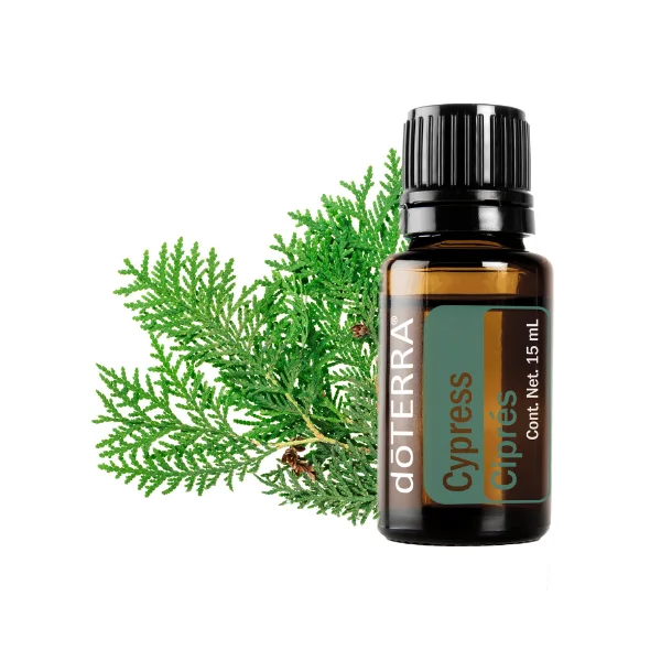Ciprés doTERRA